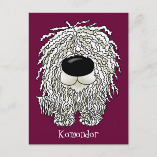 Carte Postale Gros nez Komondor