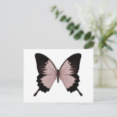 Carte Postale Gros Papillon rouge et noir (Debout devant)