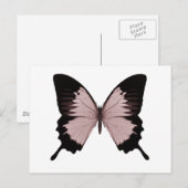Carte Postale Gros Papillon rouge et noir (Devant / Derrière)