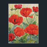 Carte Postale Gros Papillons rouges<br><div class="desc">Grand pavot rouge (aquarelle sur papier) Ryland Christopher / Collection privée / Bridgeman Images</div>