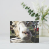 Carte Postale Gros plan (Debout devant)