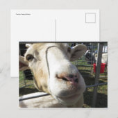 Carte Postale Gros plan (Devant / Derrière)