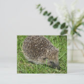 Carte postale Gros plan (Debout devant)