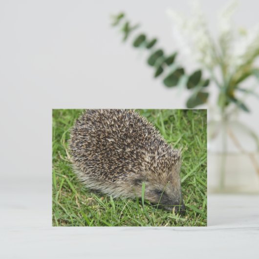 Carte postale Gros plan (Debout devant)