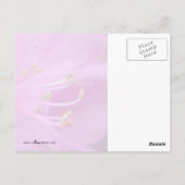 Carte Postale Gros plan Azalea (Dos)
