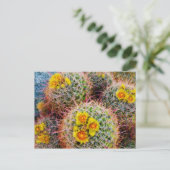 Carte Postale Gros plan, Californie (Debout devant)