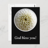 Carte Postale Gros plan Dahlia (Devant / Derrière)