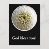 Carte Postale Gros plan Dahlia (Devant)