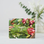 Carte Postale Gros plan de bouquets de rhubarbe dans le panier (Debout devant)