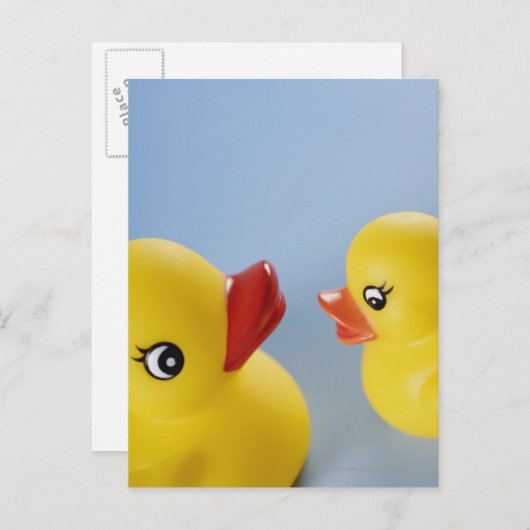 Carte Postale Gros plan de deux canards en caoutchouc (Devant / Derrière)