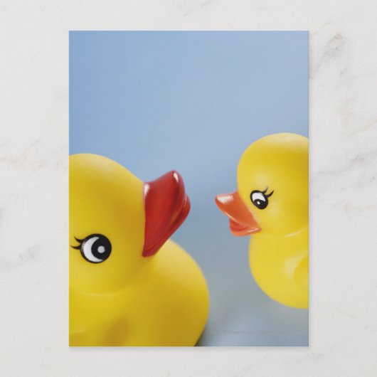 Carte Postale Gros plan de deux canards en caoutchouc (Devant)