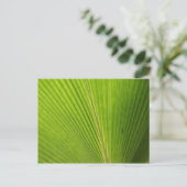 Carte Postale Gros plan de la feuille de palme (Debout devant)