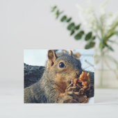 Carte Postale Gros plan Délicieux (Debout devant)