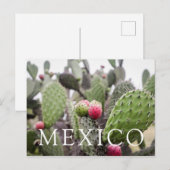 Carte Postale Gros Plan Des Cactus À Poires (Devant / Derrière)