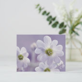 Carte Postale Gros plan des fleurs 2 (Debout devant)