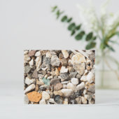 Carte Postale Gros plan des pierres (Debout devant)