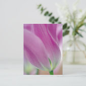 Carte Postale Gros plan du dessous de la fleur de tulipe, 2 (Debout devant)
