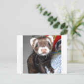 Carte Postale Gros plan du Ferret mignon avec des marques blanch (Debout devant)