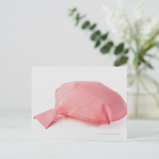 Carte Postale Gros plan d'un coussin (Debout devant)