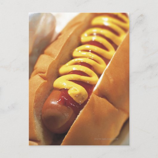 Carte Postale gros plan d'un hot-dog (Devant)