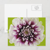 Carte Postale Gros plan d'une fleur 2 (Devant / Derrière)