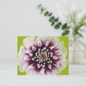 Carte Postale Gros plan d'une fleur 2 (Debout devant)