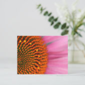 Carte Postale Gros plan d'une fleur conique en été, (Debout devant)