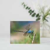 Carte Postale Gros plan d'une libellule bleue sur une branche (Debout devant)