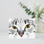Carte Postale Gros plan sur la face du chat (Debout devant)