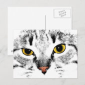 Carte Postale Gros plan sur la face du chat (Devant / Derrière)