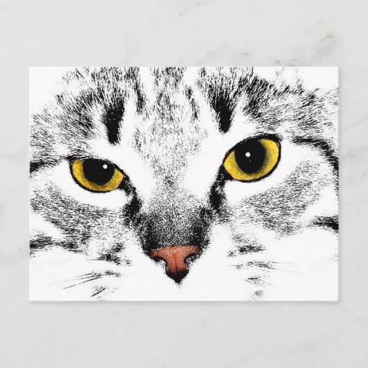Carte Postale Gros plan sur la face du chat (Devant)