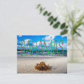 Carte Postale Gros plan sur la plage des Bahamas (Debout devant)