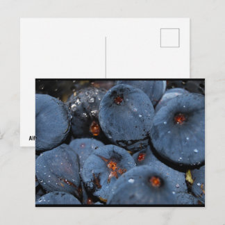 Carte Postale Gros plan sur le fruit du figuier
