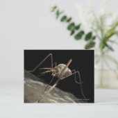 Carte Postale Gros plan sur les piqûres de moustiques 3d (Debout devant)