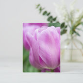 Carte Postale Gros plan sur tulipe (Debout devant)