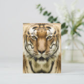 Carte postale Gros plan tigre (Debout devant)