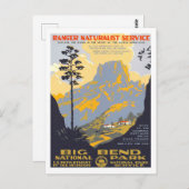 Carte Postale Gros pli (Devant / Derrière)