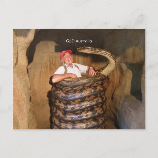 Carte postale Gros serpent QLD Australie Gros serp (Devant)