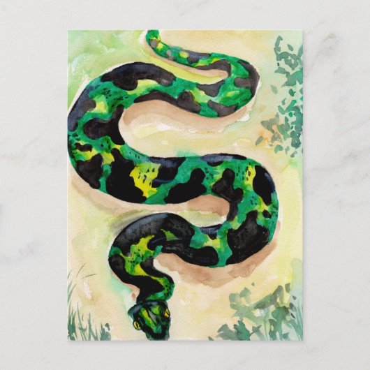 Carte Postale Gros Serpent Vert (Devant)