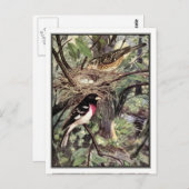 Carte Postale Grosbeak à poitrine rose - Robert Bruce Horsfall (Devant / Derrière)