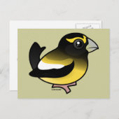 Carte Postale Grosbeak du soir (Devant / Derrière)