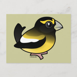 Carte Postale Grosbeak du soir