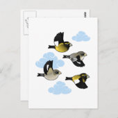 Carte Postale Grosbeaks du soir en vol (Devant / Derrière)