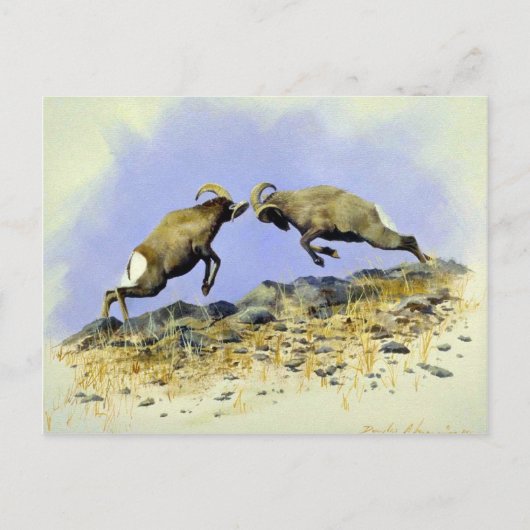 Carte Postale Grosse Corne (Devant)