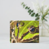 Carte Postale Grosse d'eau commune (Debout devant)