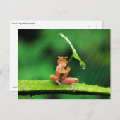 Carte Postale Grosse grenouille drôle peur de l'eau (Devant / Derrière)