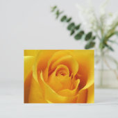 Carte Postale Grosse rose jaune (Debout devant)