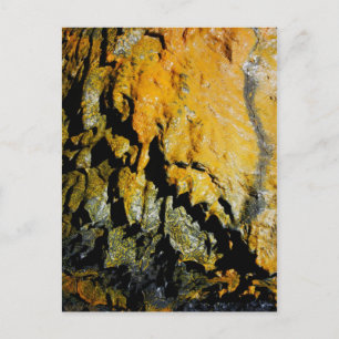 Carte Postale Grotte à tube de lave