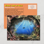 Carte Postale Grotte aquatique (Devant / Derrière)