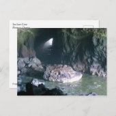 Carte Postale Grotte de lion de mer, OU (Devant / Derrière)
